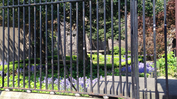 03_huguenot_cemeterio_dublin_irlanda_franceses