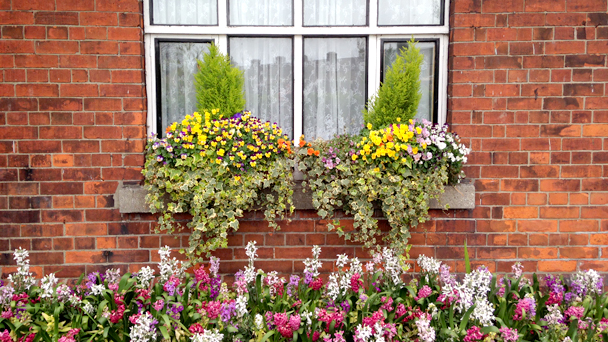 05_blessington_basin_dublin_vidanairlanda