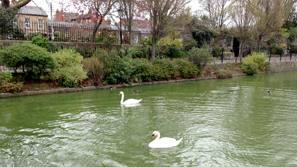 19_blessington_basin_dublin_vidanairlanda