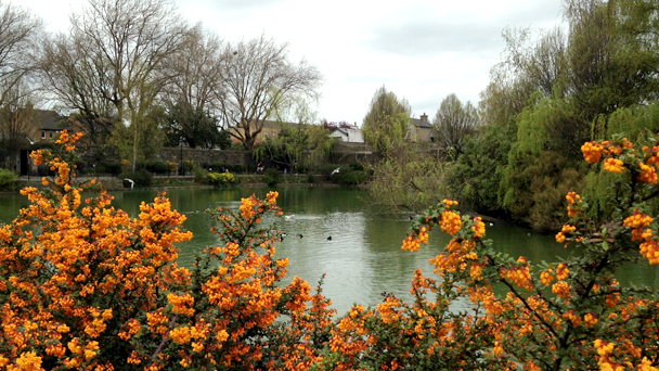 24_blessington_basin_dublin_vidanairlanda