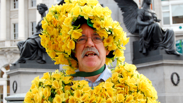 Daffodil_day_2013