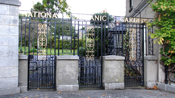 Conhecendo a Irlanda: National Botanic Gardens