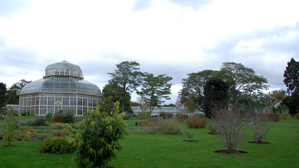 botanic-gardens-dublin-22