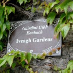 Conhecendo a Irlanda: Iveagh Gardens