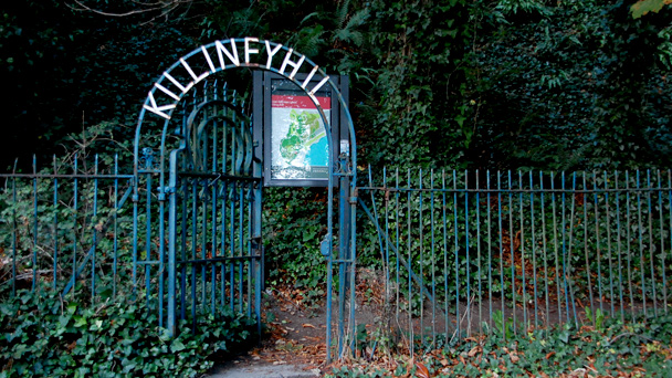 Conhecendo a Irlanda: Killiney Hill