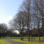Conhecendo a Irlanda: St. Anne’s Park